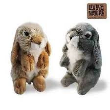 Plush: Rabbit, Assorted, 19cm