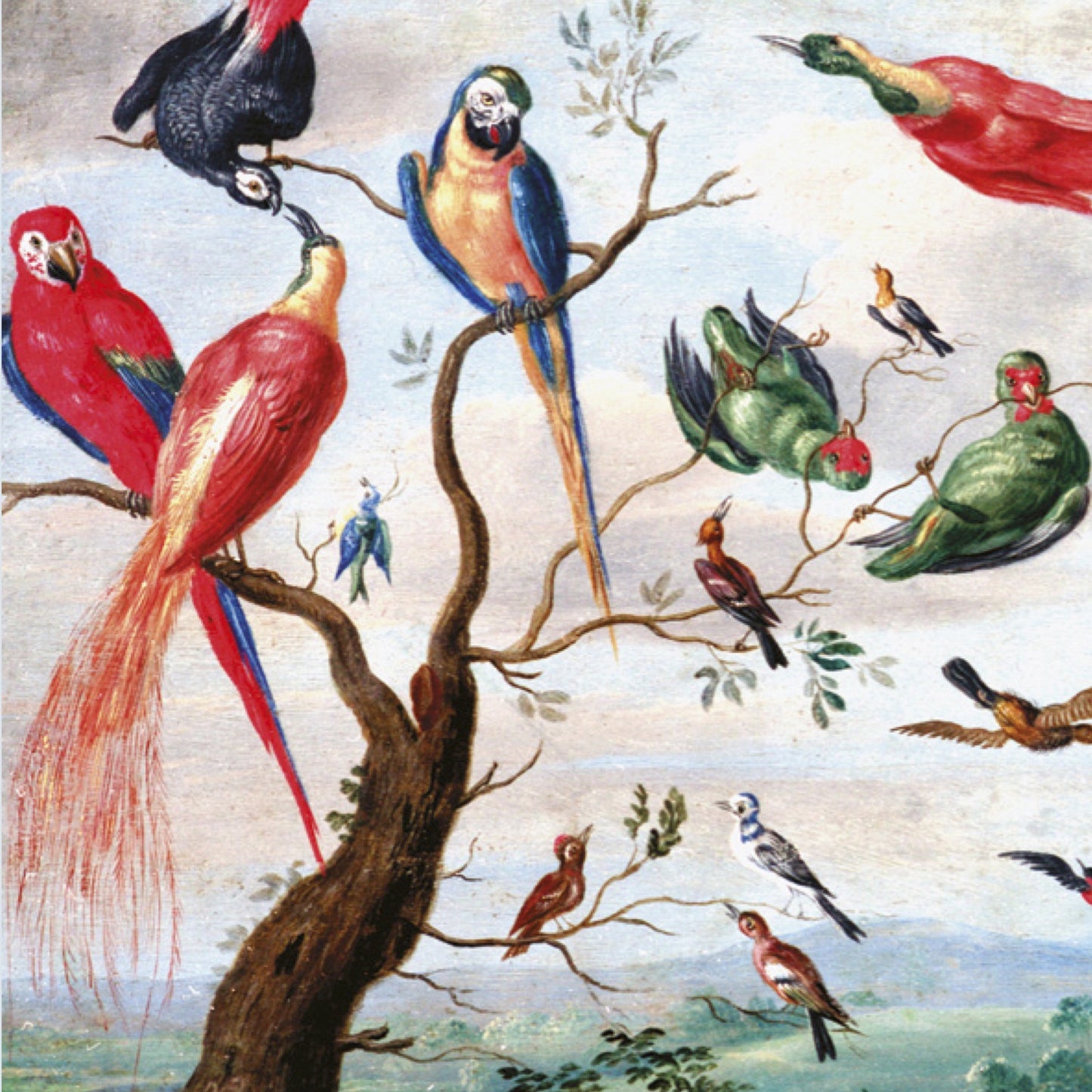 A Chorus of Birds Greetings Card