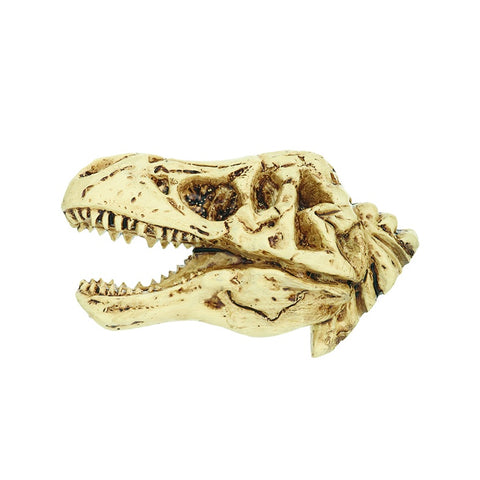 Magnet: Resin, T.rex Skull, 7cm