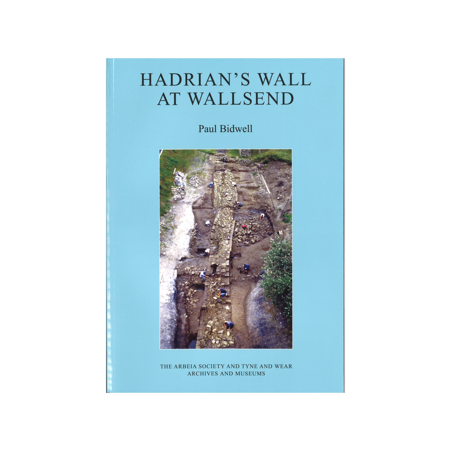 Hadrian's Wall at Wallsend by Paul Bidwell Book