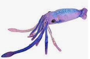 Plush: Purple Squid 38cm Soft Toy