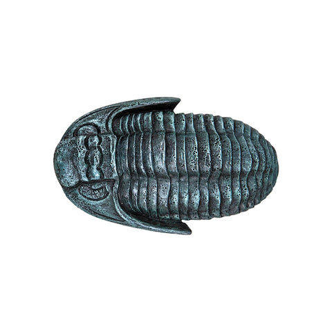 Magnet: Resin, Trilobite, 7cm