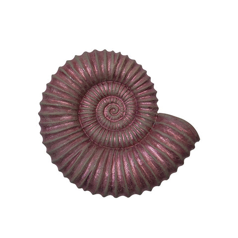 Magnet: Resin, Ammonite